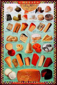 Cheeses of the World!
